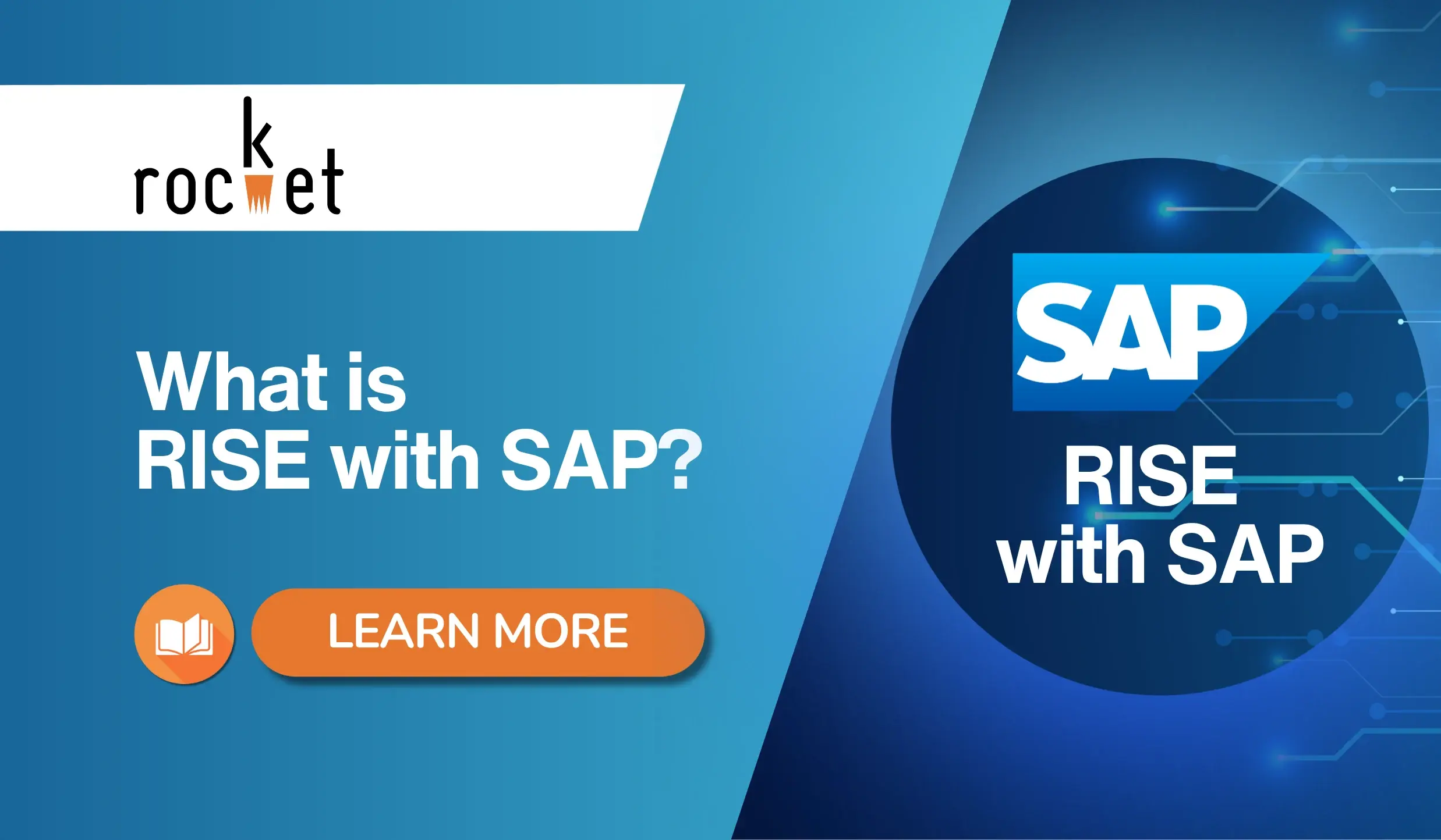 What is RISE with SAP?