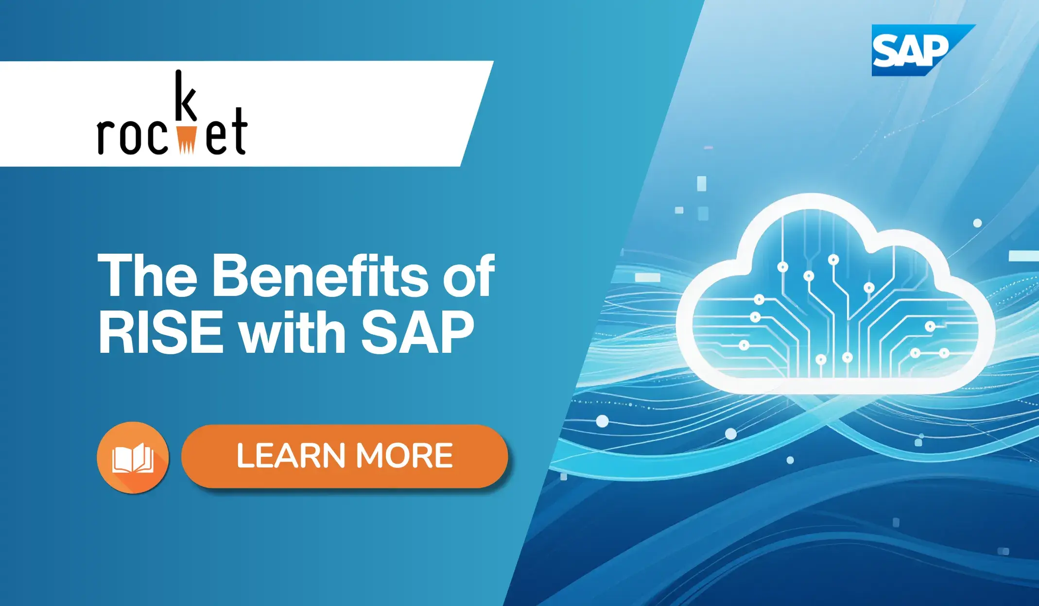 The Benefits of RISE with SAP