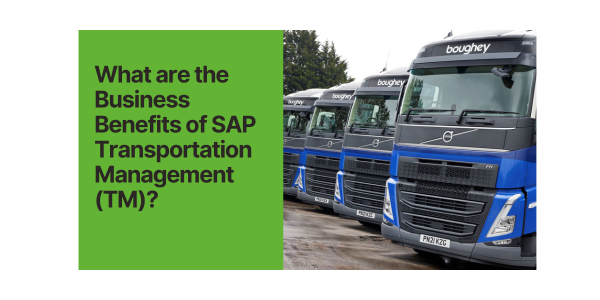 What are the Business Benefits of SAP Transportation Management (TM)?